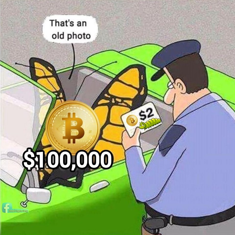 Bitcoin Breakdown ⚡ tweet media