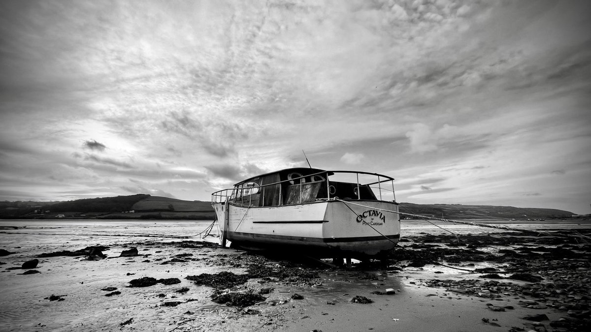 cgbmedia's tweet photo. © 2022-2022. Chris Baron #llanychaer #fishguard #gwbert #wales #pembrokeshire https://t.co/RRWsCEhlXL
