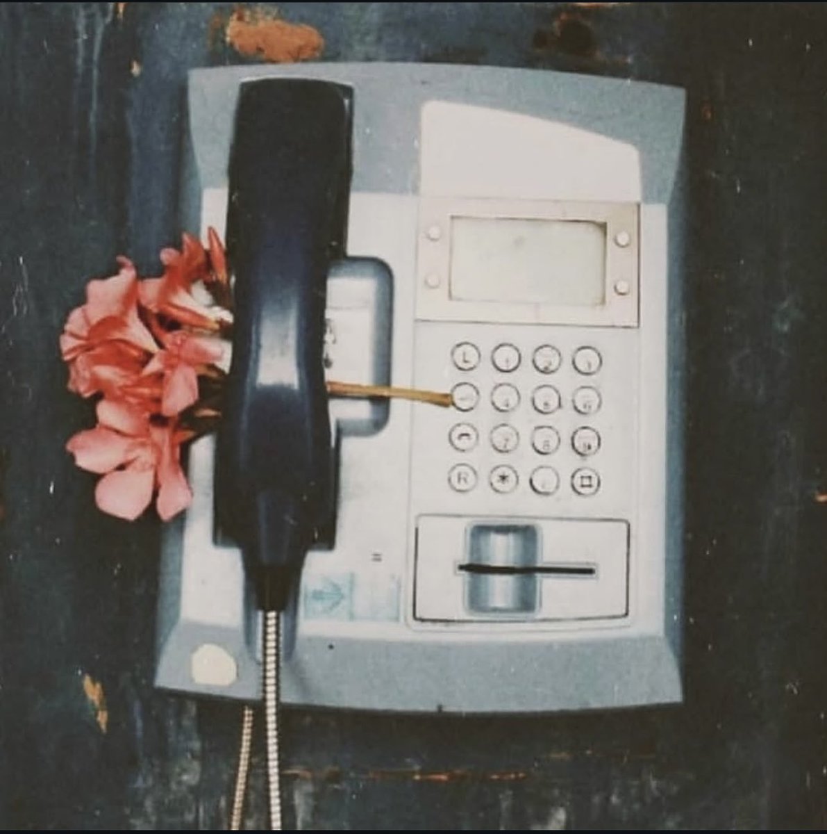 Yunus (@yunusz36) on Twitter photo 