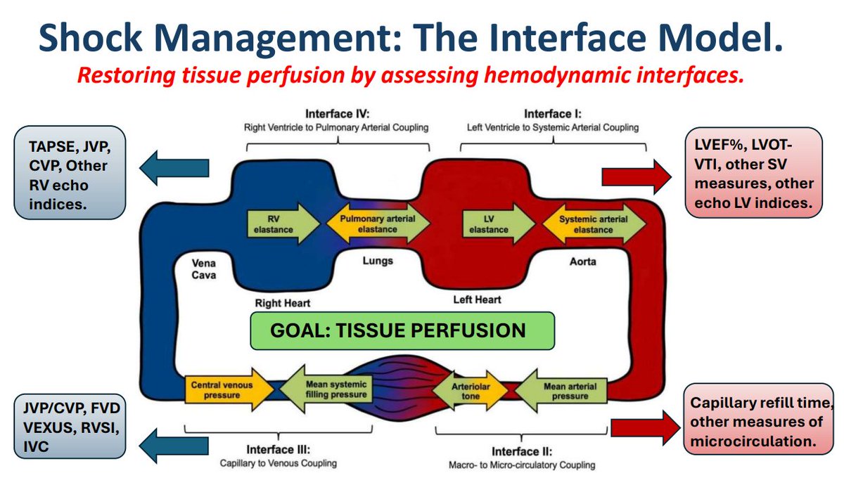 Critical Care Reviews tweet media