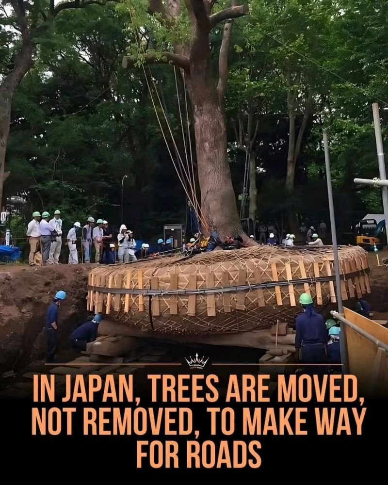 Surely there is a Japanese word for this
