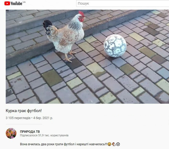 Сьогодні всі піпідастри Лондона відчищують від пилюки трофейну шафу "Тотнема". 
*так і неясно, чиє це насправді було безтрофейне прокляття, півничків чи Харрі Кейна