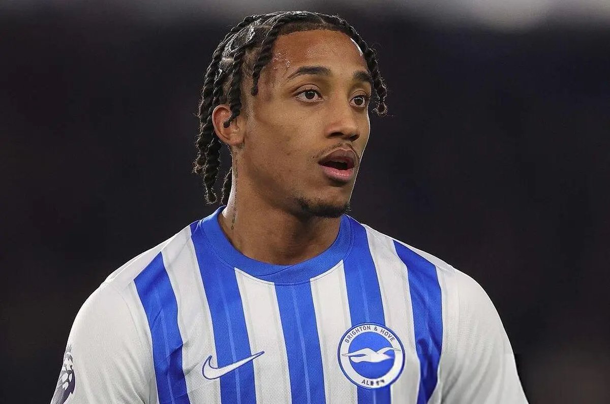 The Brighton Base tweet media