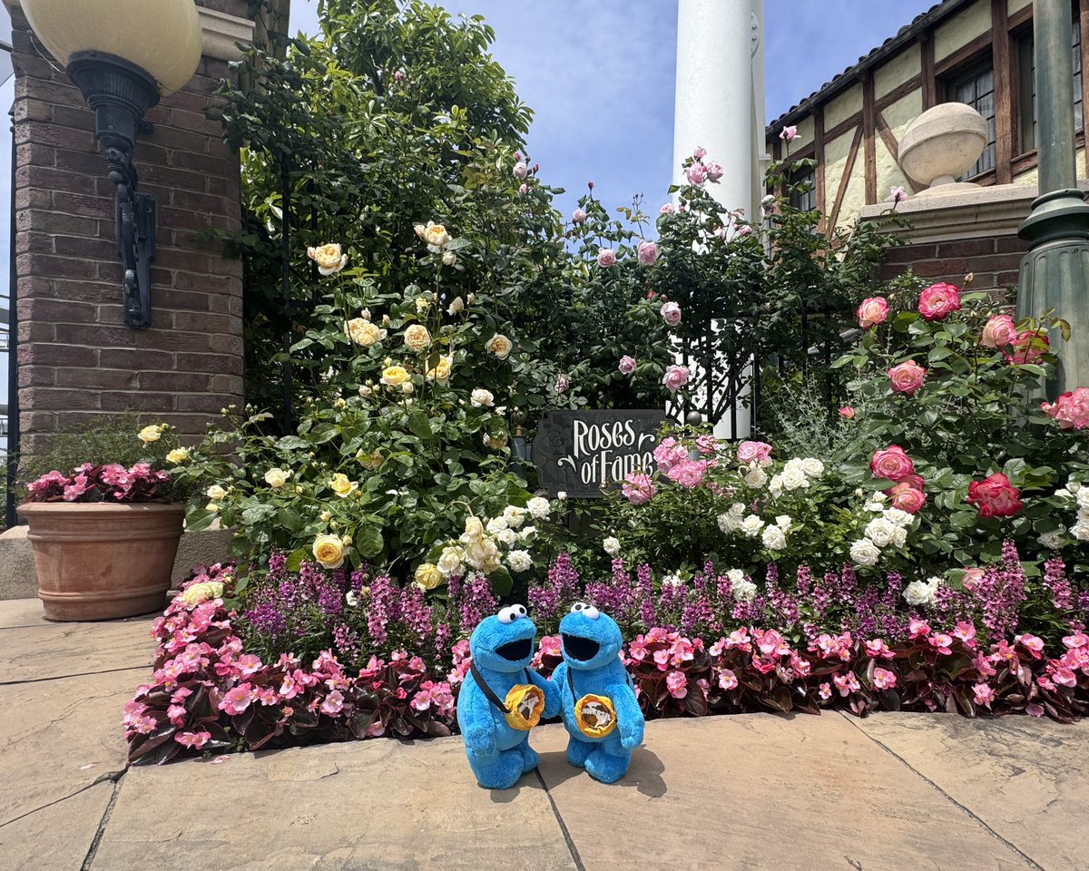 haiokandesuyo's tweet photo. やっぱり ここで とりたくなるよね!
なるよね!
#USJファン #USJ #roseoffames #NOLMIT #超元気特区 https://t.co/9B9kF1bmjw