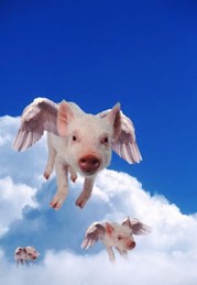 davidgforder's tweet image. "5 Easy Ways to Tell it’s Time to Change your CRM"

Yes - Pigs Flying is a tell...

linkedin.com/pulse/5-easy-w… #crmsoftware #CRMSpaceinfo #funniesttweets #CRM  #salestraining #business #Salesforce #salesforceadmin #marketing