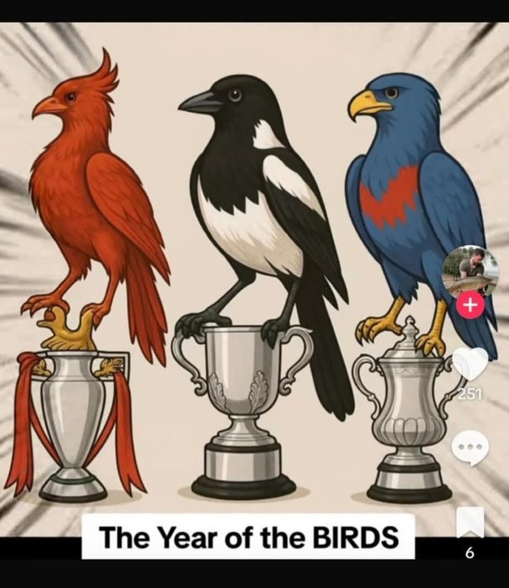 Navillus tweet media