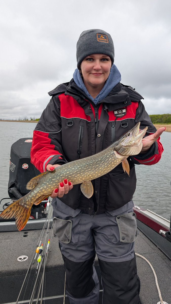 HuntFishTravel's tweet photo. On the board! 🎣🎣
#aglowatdevilslake25 #fishingpodcast #hellodevilslake #devilslakend #NorthDakota
@NorthDakota https://t.co/anGvOXtrBm
