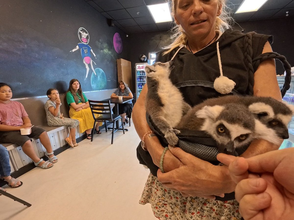 What you see getting ice cream in Florida