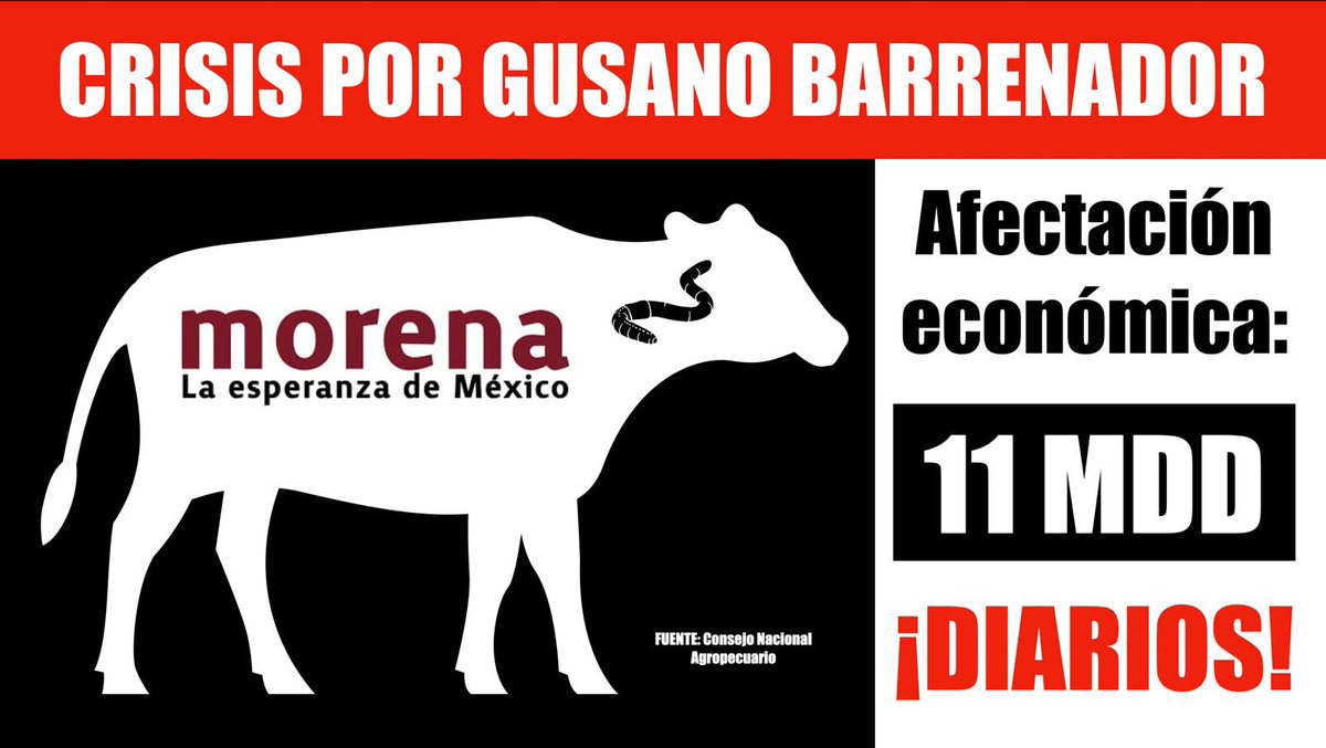 El gusano barrenador fue erradicado en 1991. Hoy ha regresado… como los apagones, el sarampión, la tos ferina, el dengue, etc. 

Hay más de 1,400 animales infectados y eso genera pérdidas de hasta 11 millones de dólares DIARIOS.

¿Y qué hace el Congreso? Ni siquiera quiere
