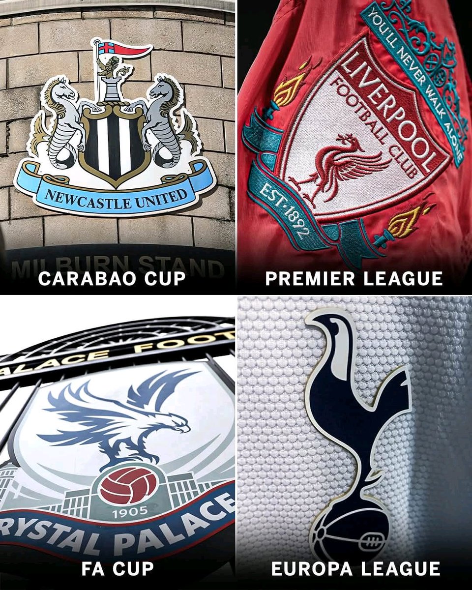 TheDukeofKisii_'s tweet image. -Magpie
-Liver bird
-Eagle
-Cockerel
It was the year of the bird in English football this season
