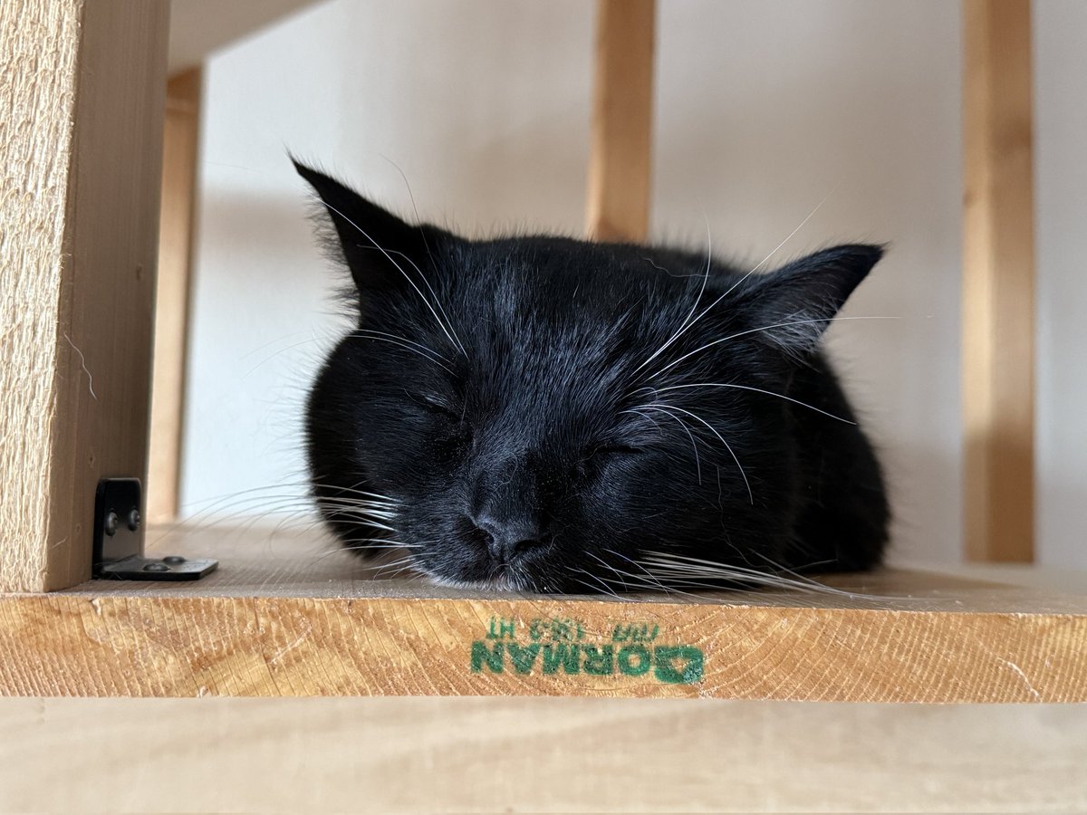 unicouniuni3's tweet image. Where did the rest of him go?