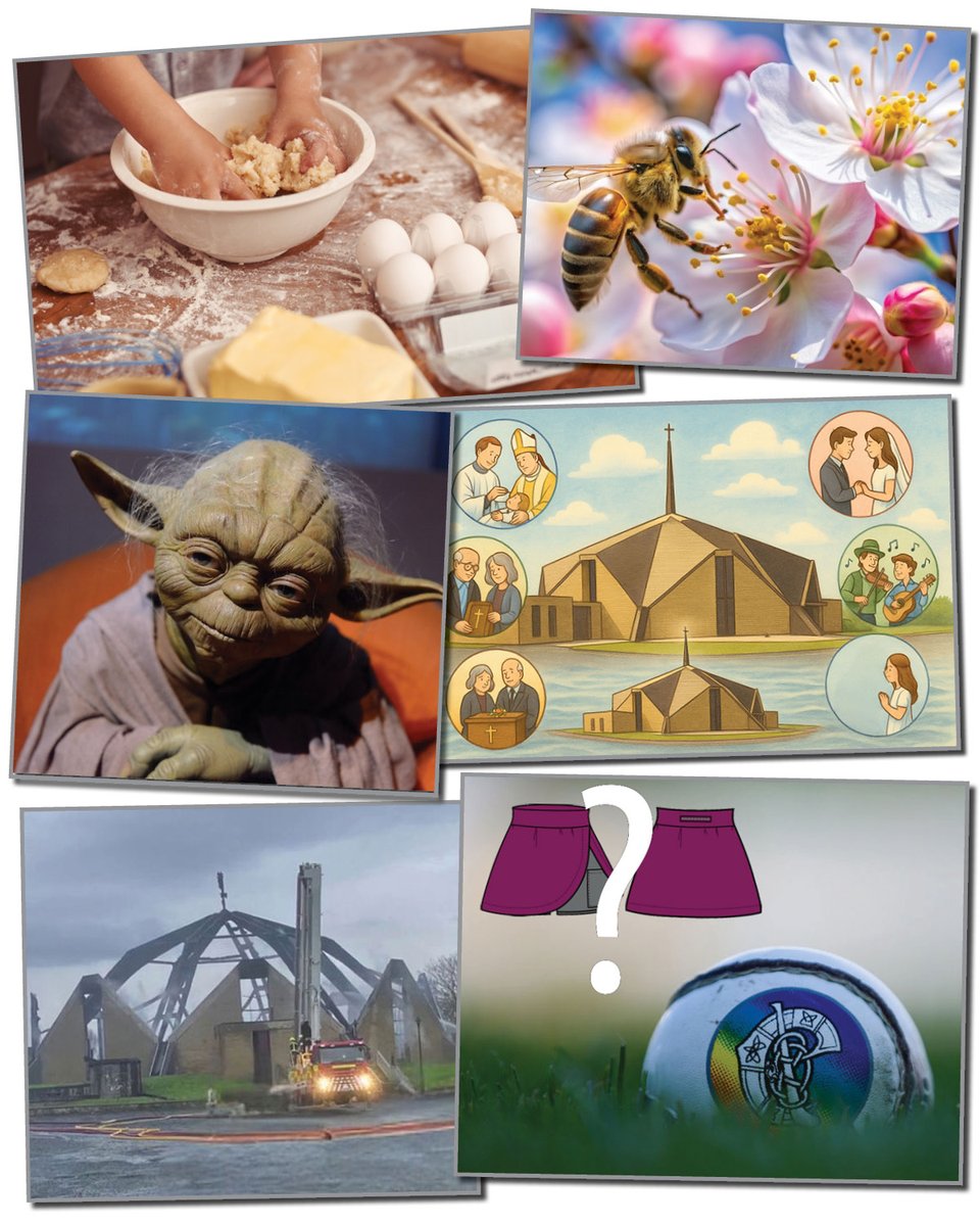 Phoenix Park – Plenty of Taste, image size:960x1200