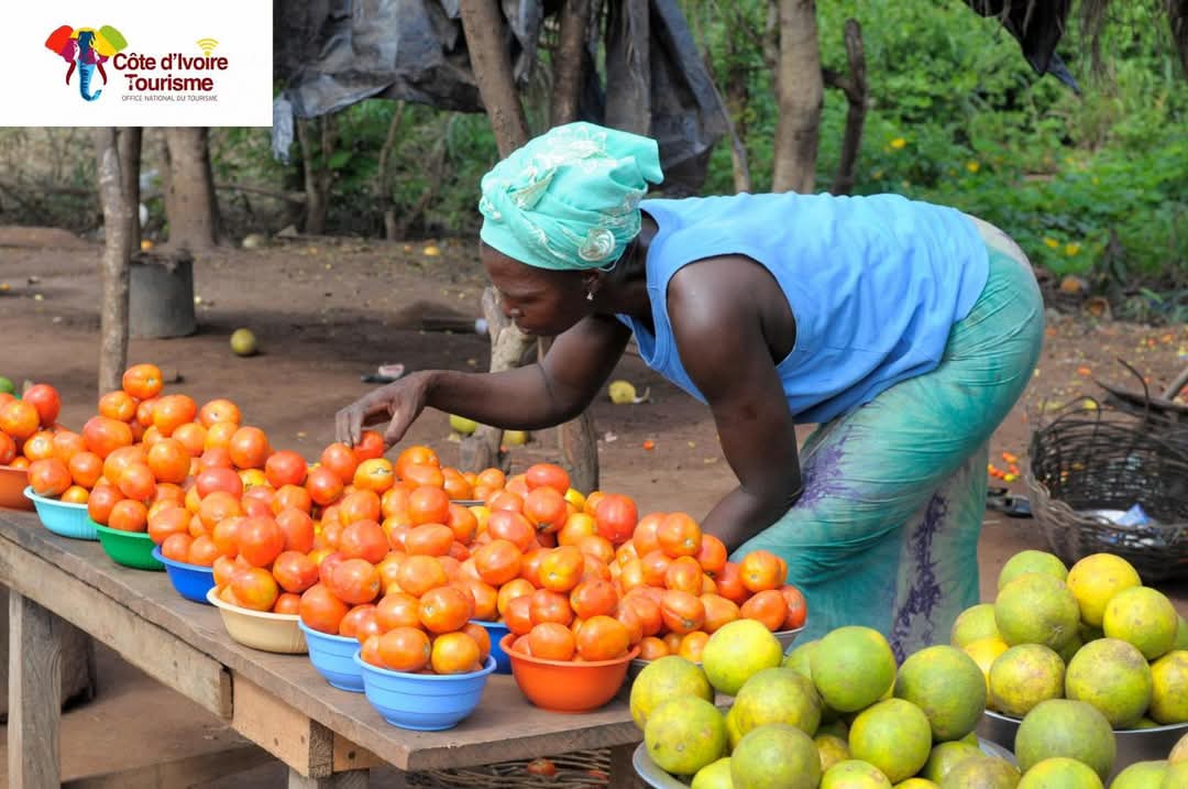 Abengourou en couleurs : hommage aux femmes qui font vivre nos marchés 🇨🇮✨
#abengourou #cotedivoire #cotedivoiretourisme #femmeinspirante #vielocale