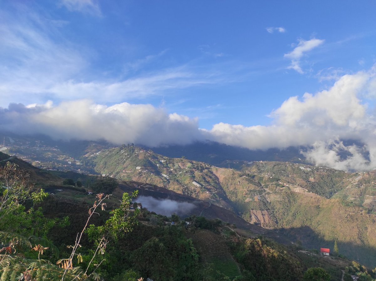 Lluvia y frío 🌧️