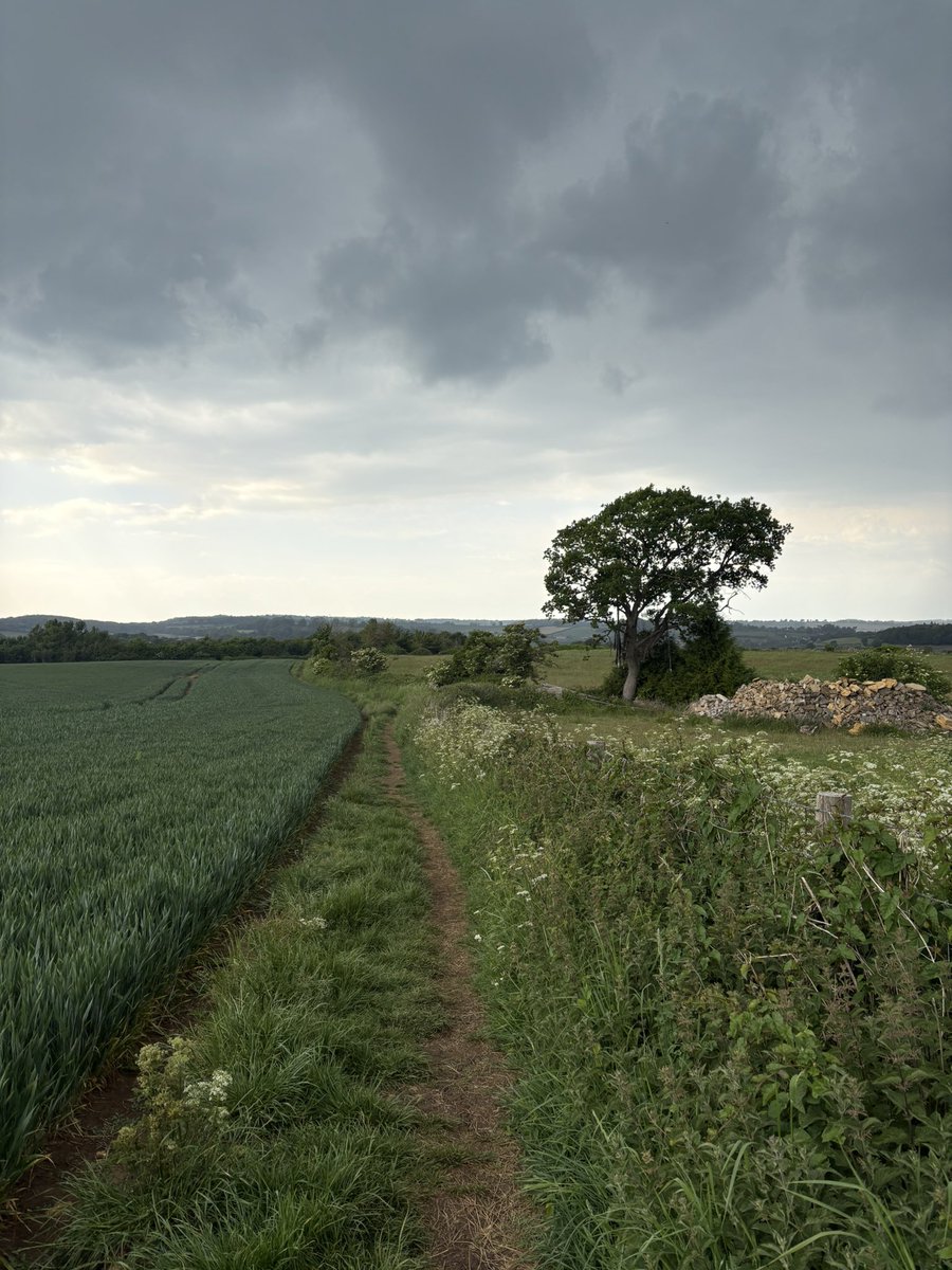 lukejsherlock's tweet image. Scouting for painting scenes. Or walking the dog. Or both. Somerset. England. Land of Discontent and dis content: