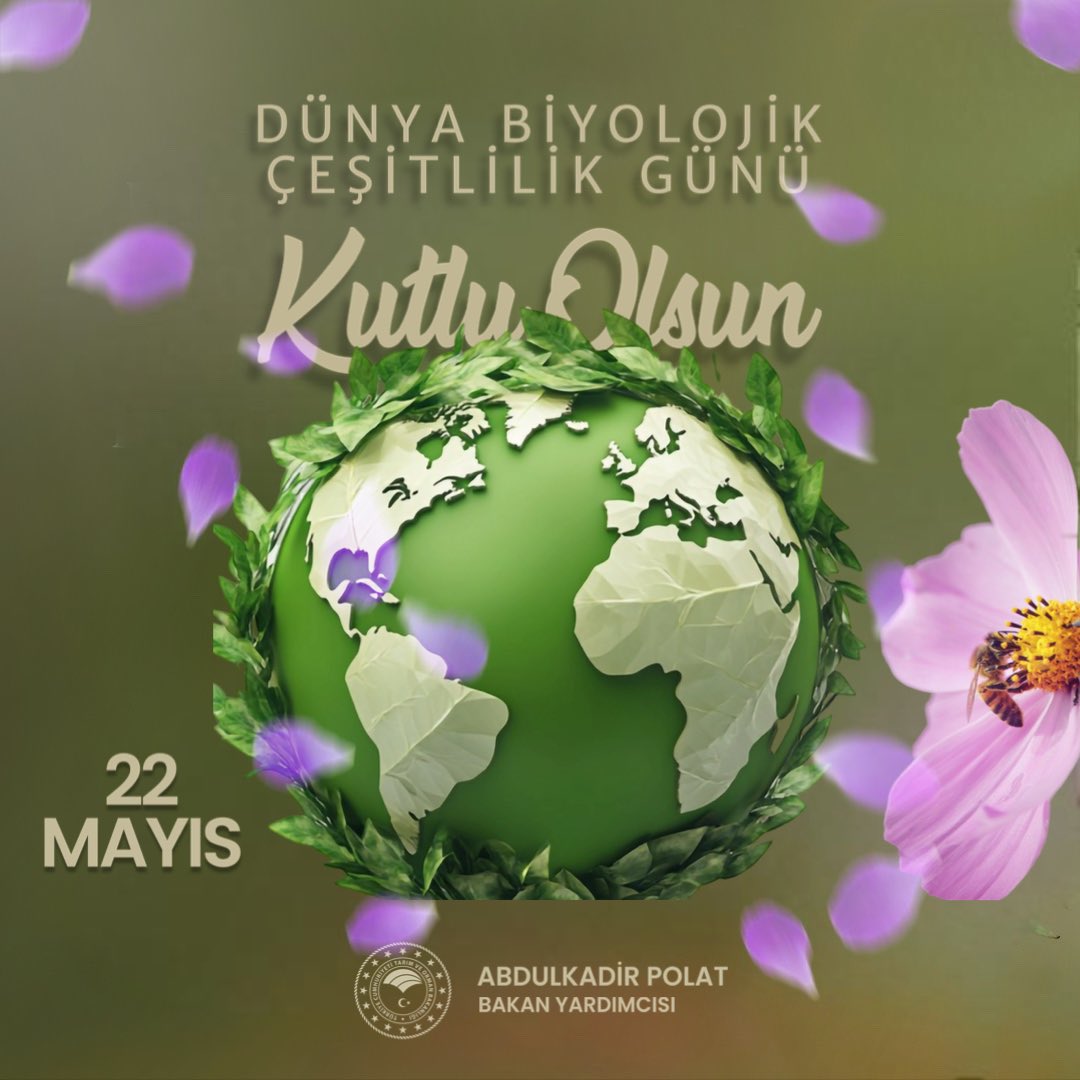 🐞🦋Biyoçeşitlilik, gezegenimizin yaşam sigortasıdır; onu kaybetmek, geleceği riske atmaktır.

🐦‍⬛🌳Bir ormanda yankılanan kuş sesleri, sağlıklı bir ekosistemin melodisidir; sessizlik, bir krizin işaretidir.

🦌🌿İklim değişikliğiyle mücadelede en büyük müttefikimiz