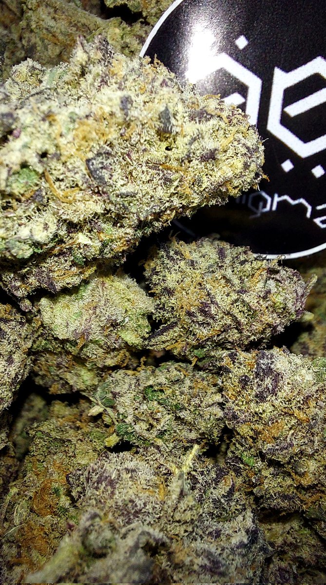 Aenigma_005's tweet photo. Ganas de algo rico❓️
Eres de pulmones finos❓️
Te gusta consentirte❓️
Solo aqui lo encuentras😎
Aprovecha las promos. 🤑
 Dale al signal.👇🏻✨️👇🏻
https://t.co/u3eMEtsW88 https://t.co/4a7bC5TrwZ