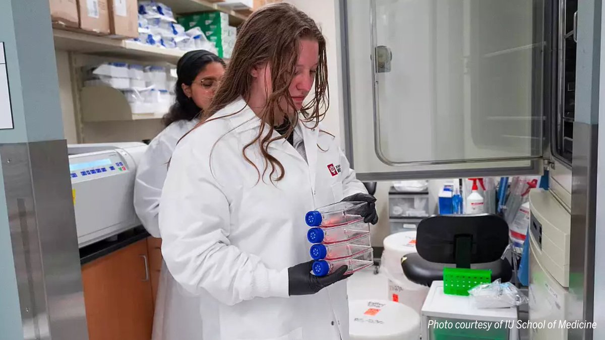 IU Indianapolis (@iuindianapolis) on Twitter photo <a href="/IUMedSchool/">IU School of Medicine</a> Undergraduate Research Opportunity Program gives STEM students the opportunity to gain meaningful, hands-on research experience — all while working closely with esteemed faculty mentors and balancing their academic commitments on campus. 🥼📚
Discover how this <a href="/IUMedSchool/">IU School of Medicine</a> Undergraduate Research Opportunity Program gives STEM students the opportunity to gain meaningful, hands-on research experience — all while working closely with esteemed faculty mentors and balancing their academic commitments on campus. 🥼📚
Discover how this