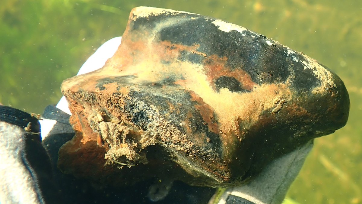 nicola crockford tweet media