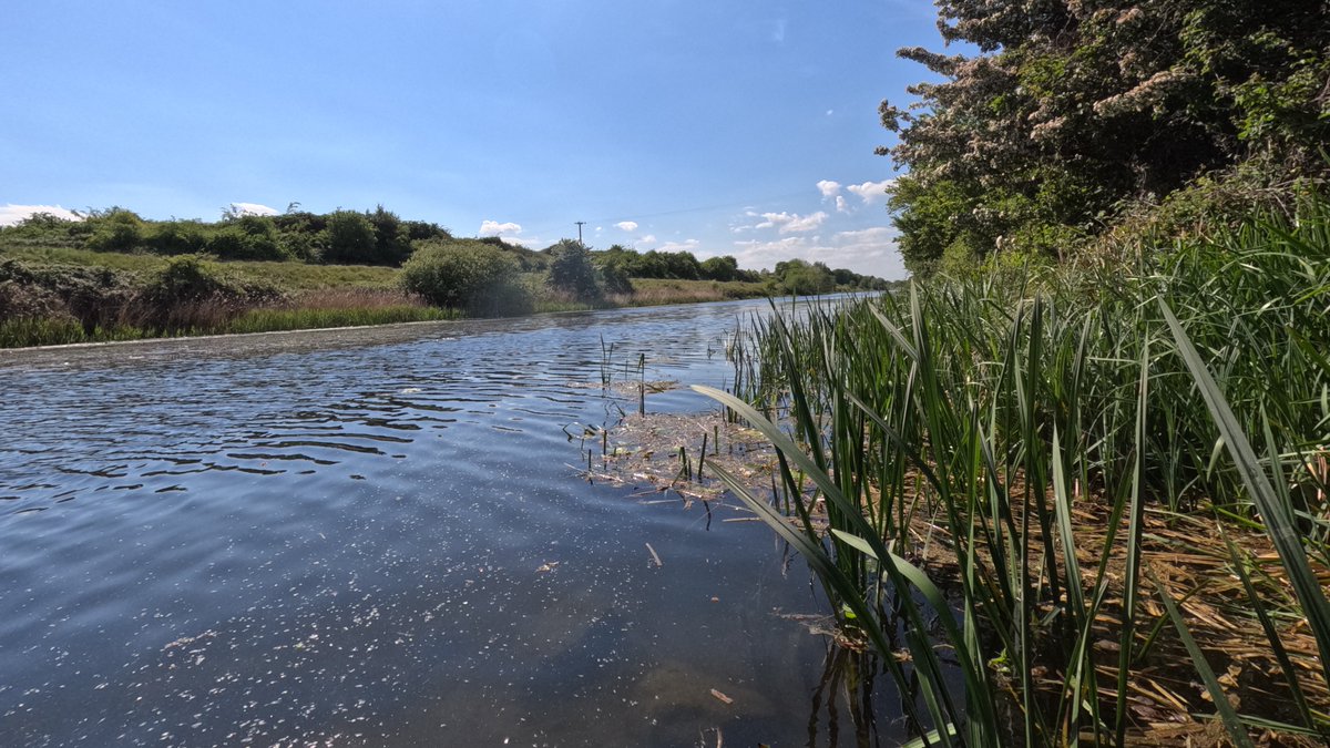 nicola crockford tweet media