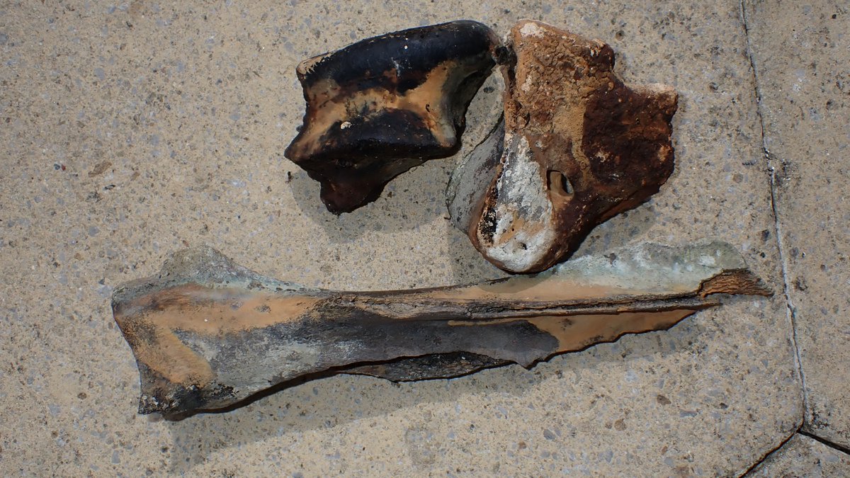 nicola crockford tweet media