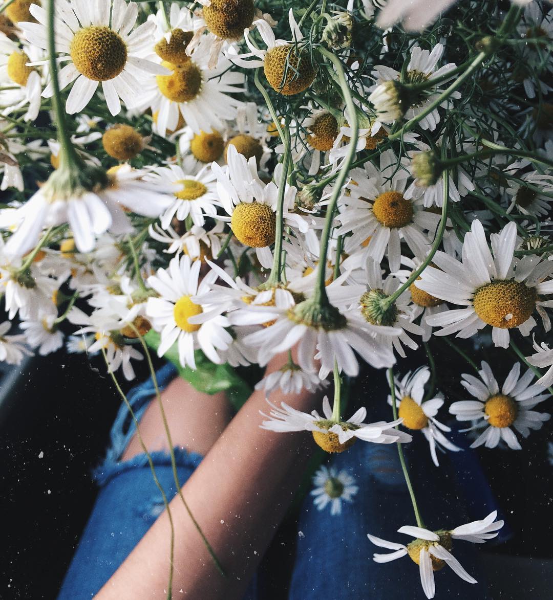 Women who own flowers and girls who are given flowers are lucky women.