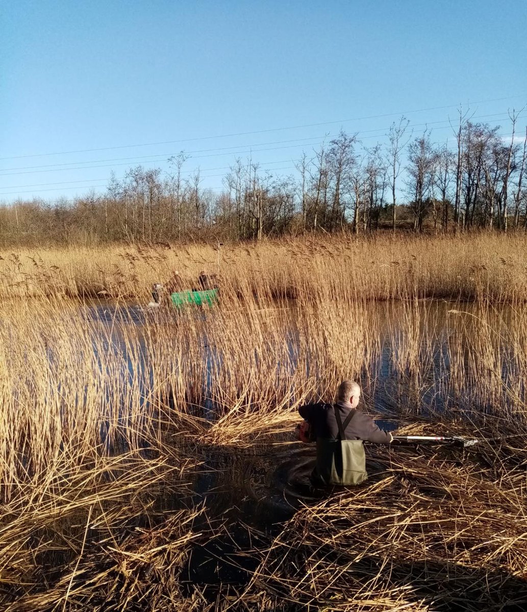 Great_Grounds's tweet photo. Throwing it back to a lovely winters day earlier this year with our boat team undertaking some pond maintenance work for Knowsley Council.
Rewarding work and great for ecological enhancement 🎣🐟

#Throwbackthursday #Tbt #knowsley #pondmaintenance #landscaping https://t.co/auXEvl1pIW