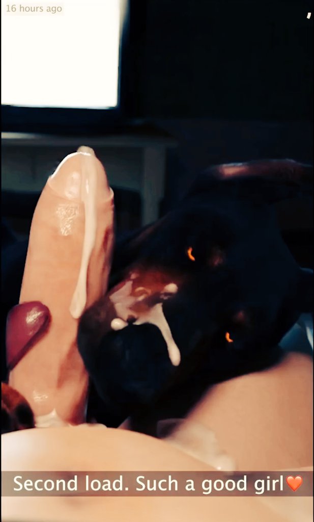 PerraEnAdopcion's tweet photo. 🐾𝐋𝐨𝐬 𝐞𝐬𝐭𝐚𝐝𝐨𝐬 𝐪𝐮𝐞 𝐬𝐮𝐛𝐞 𝐭𝐨𝐝𝐨 𝐛𝐮𝐞𝐧 𝐚𝐦𝐚𝐧𝐭𝐞 𝐝𝐞 𝐥𝐨𝐬 𝐚𝐧𝐢𝐦𝐚𝐥𝐞𝐬 𝐜𝐨𝐧 𝐬𝐮 𝐦𝐚𝐬𝐜𝐨𝐭𝐚 https://t.co/eBoagatAKY
