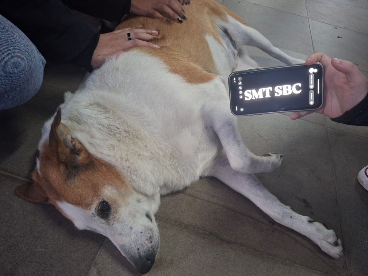 smt_sbc's tweet photo. silveira da ufsm fechadao com o abc paulista parceria sinistra https://t.co/KvDTxJ0OyQ