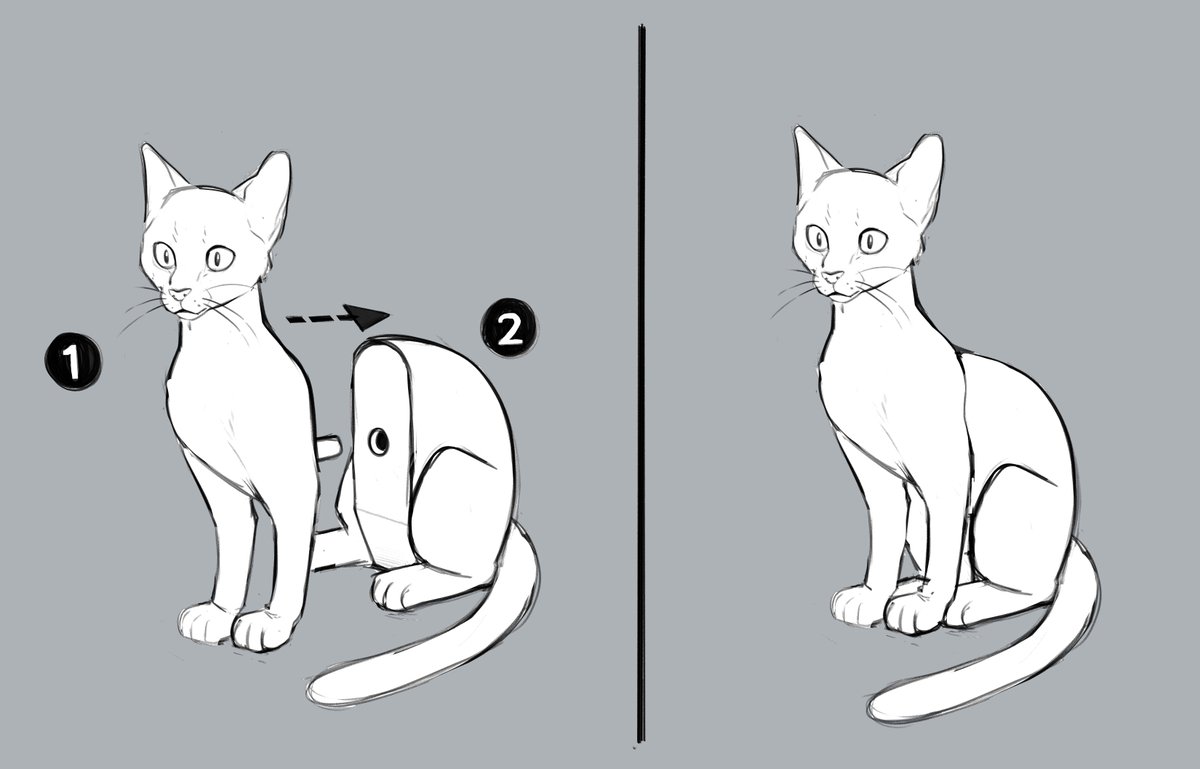 [repost] whenever i see a cat sitting.