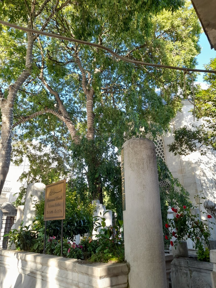 Ölmeden önce yapılacaklar listesine bir tik olarak Ebussuud Efendi ile birlikte onun tefsirini okumak... 
رحمه الله و رحمنا معه