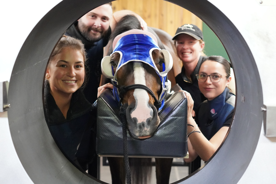 Equina_AstoCT's tweet photo. We had a fantastic time training the team at @VAEquineImaging great people, amazing horses, and lots learned! 🐴✨

📍 If you're in the VA area, don’t miss their upcoming Open House. Stay tuned to their channels for details!

#AstoCT #EquineCT #HorseHealth https://t.co/TvdWZglwwo