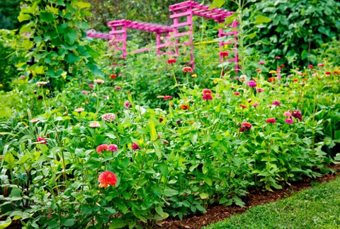 Prevent grass from creeping into your flower beds with these effective tactics. advisorstream.com/read/7-easy-wa…