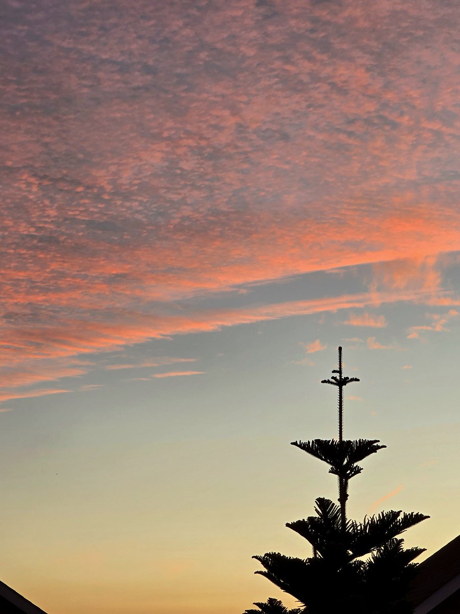 Del atardecer de hoy 🧡