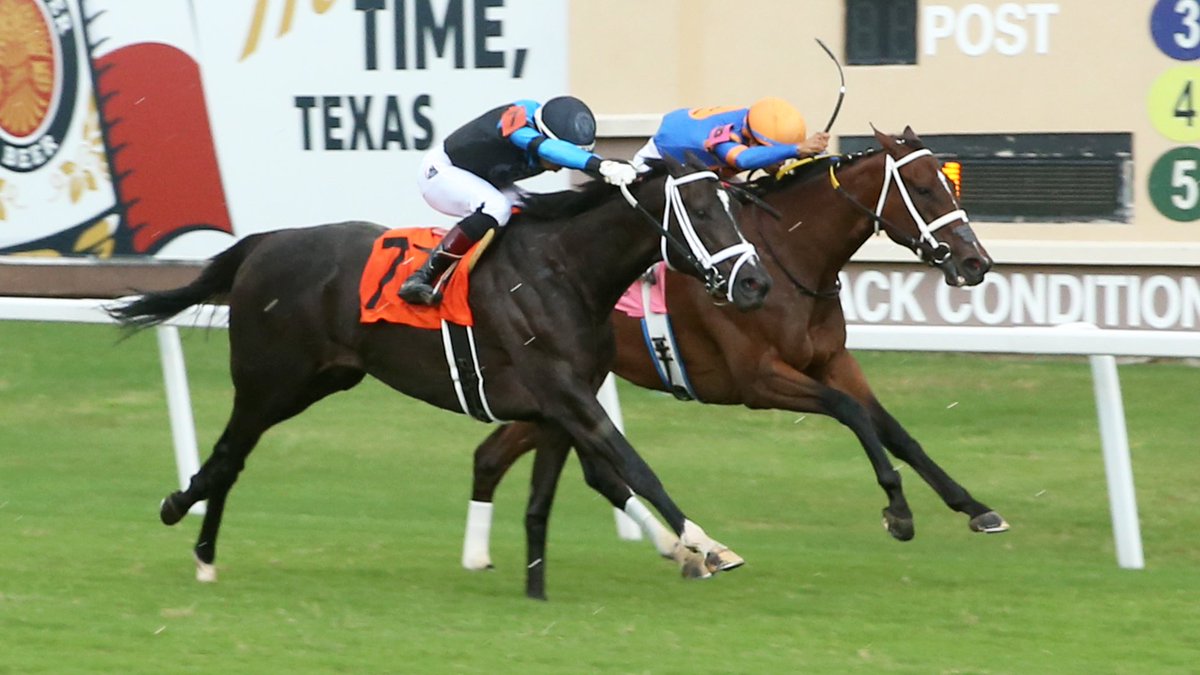 Take a look at the Memorial Day Weekend racing schedule at Lone Star Park:

Saturday, May 24 - 1:35 first post - 9 races
Sunday, May 25 - 1:35 first post - 9 races
Monday, May 26 - 1:35 first post - 12 races

Reserved seating can be purchased at lonestarpark.com.