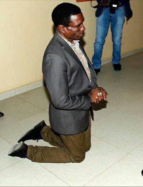 kHeNo tweet media