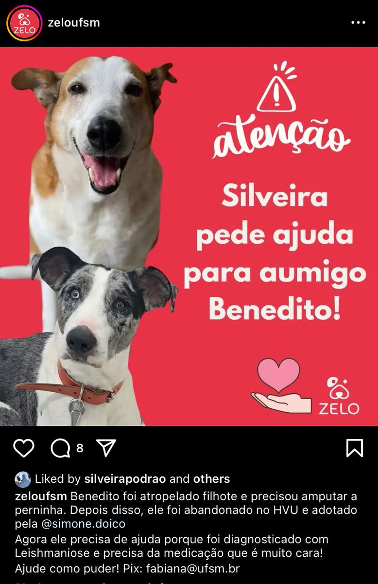 amigo do silveira esta dodoi 😢
pix: fabiana@ufsm.br