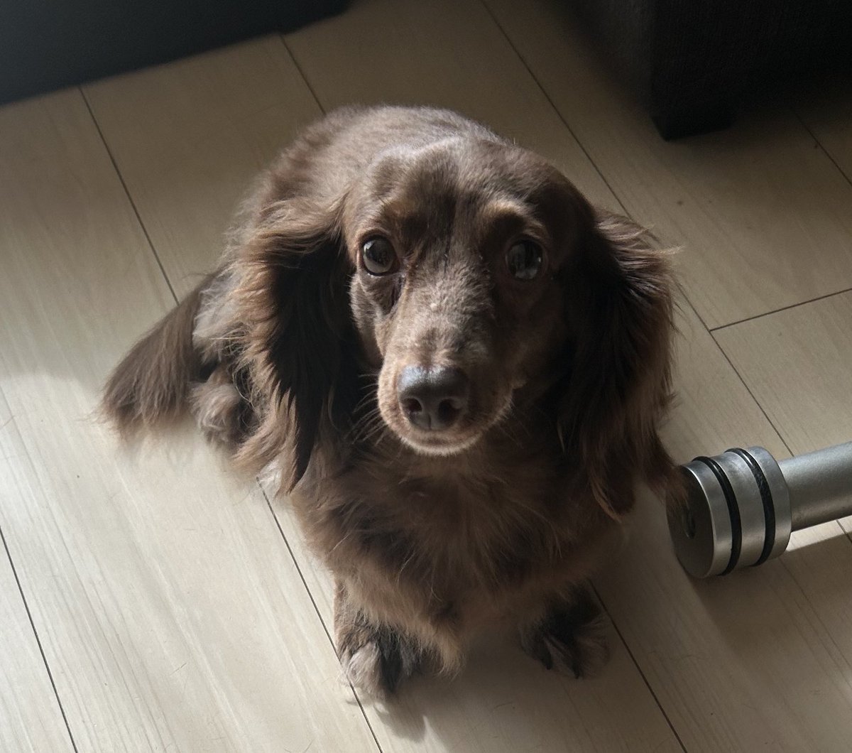 【拡散お願いします】

昨日、突如として始まった
黒沢さんと内川さんの
フォロワー10万人対決🔥

うちのねねも興味津々です(笑)

対決名のネーミング募集しようかな😅

リプや引用にて
このバトルに相応しいネーミングを
お待ちしてますm(_ _)m

現在の情勢は

黒沢さん→96174

内川さん→97354