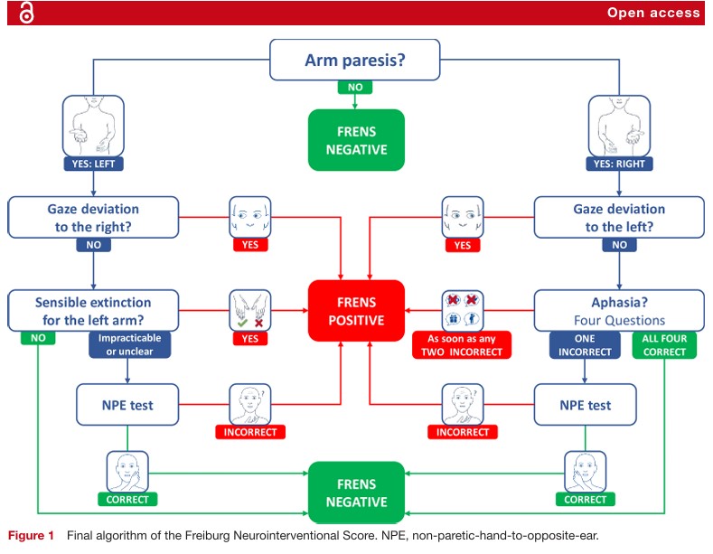 Journal of Neurology, Neurosurgery and Psychiatry (@jnnp_bmj) on Twitter photo First validation of the novel Freiburg Neurointerventional Score purposely designed for use by emergency medical dispatchers for detecting anterior circulation large-vessel occlusion in patients with suspected stroke
neurologyopen.bmj.com/content/7/1/e0… First validation of the novel Freiburg Neurointerventional Score purposely designed for use by emergency medical dispatchers for detecting anterior circulation large-vessel occlusion in patients with suspected stroke
neurologyopen.bmj.com/content/7/1/e0…