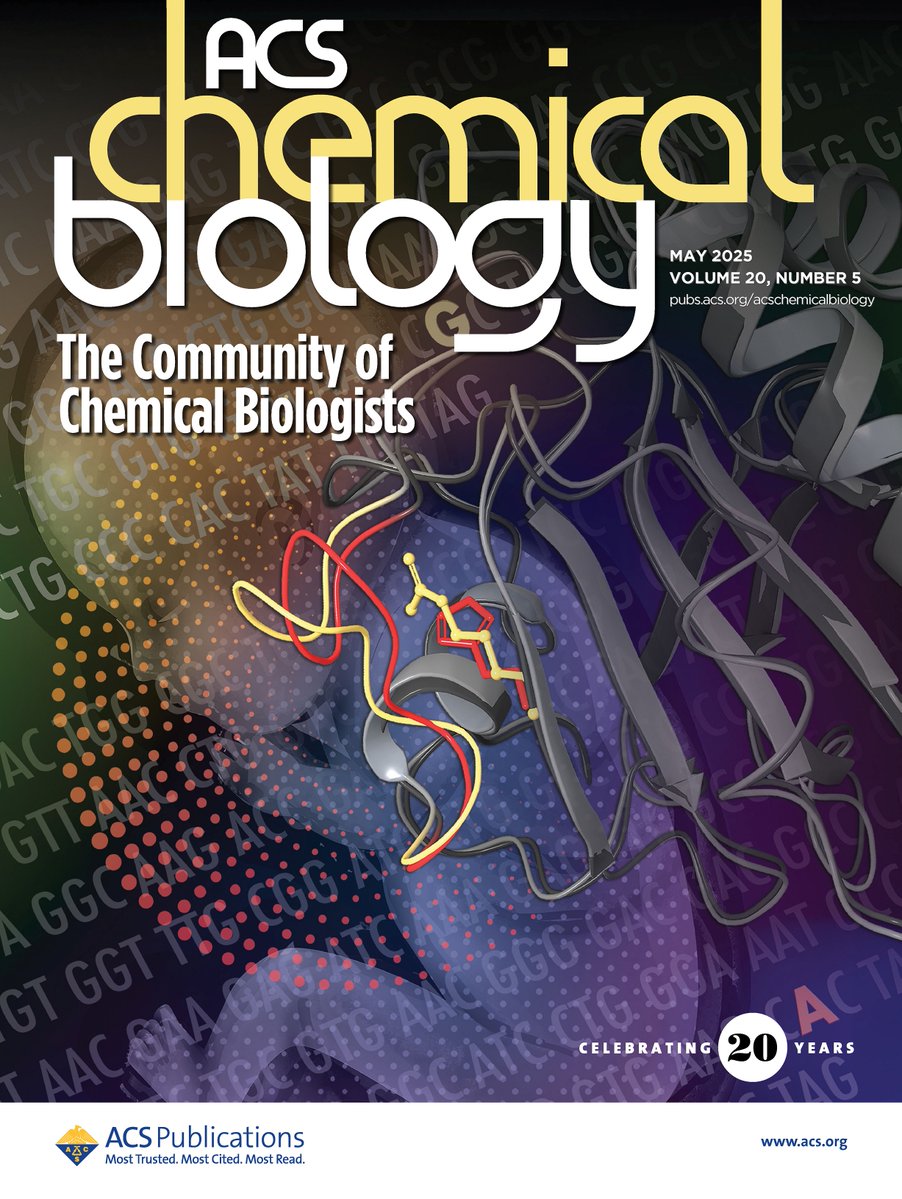 Brent Stockwell (@bstockwell) on Twitter photo Congrats to <a href="/Hengrui_L/">Hengrui Liu</a> and the whole team on getting the cover of ACS Chemical Biology for our paper on compounds that reactivate R152H GPX4! Thanks to the great Niki Barolini for her artwork! pubs.acs.org/cms/10.1021/ac… Congrats to <a href="/Hengrui_L/">Hengrui Liu</a> and the whole team on getting the cover of ACS Chemical Biology for our paper on compounds that reactivate R152H GPX4! Thanks to the great Niki Barolini for her artwork! pubs.acs.org/cms/10.1021/ac…