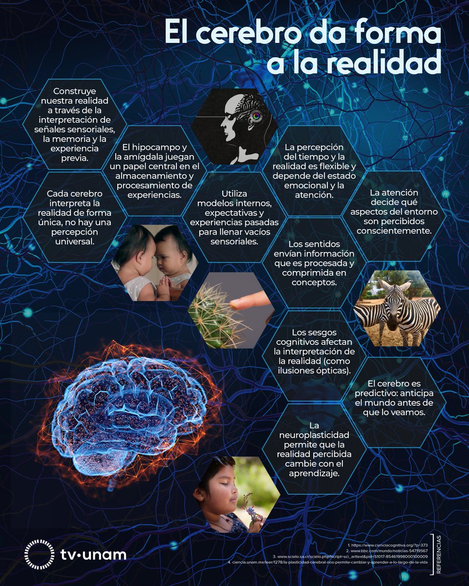 ¿Cómo el cerebro moldea nuestra realidad y por qué no siempre podemos confiar en lo que percibimos? Conoce las últimas investigaciones sobre los atajos que utiliza la mente para sobrevivir.

«Tu cerebro🧠: Engaño de la percepción»🎥
📺Jueves 22 de mayo, 19:30 h