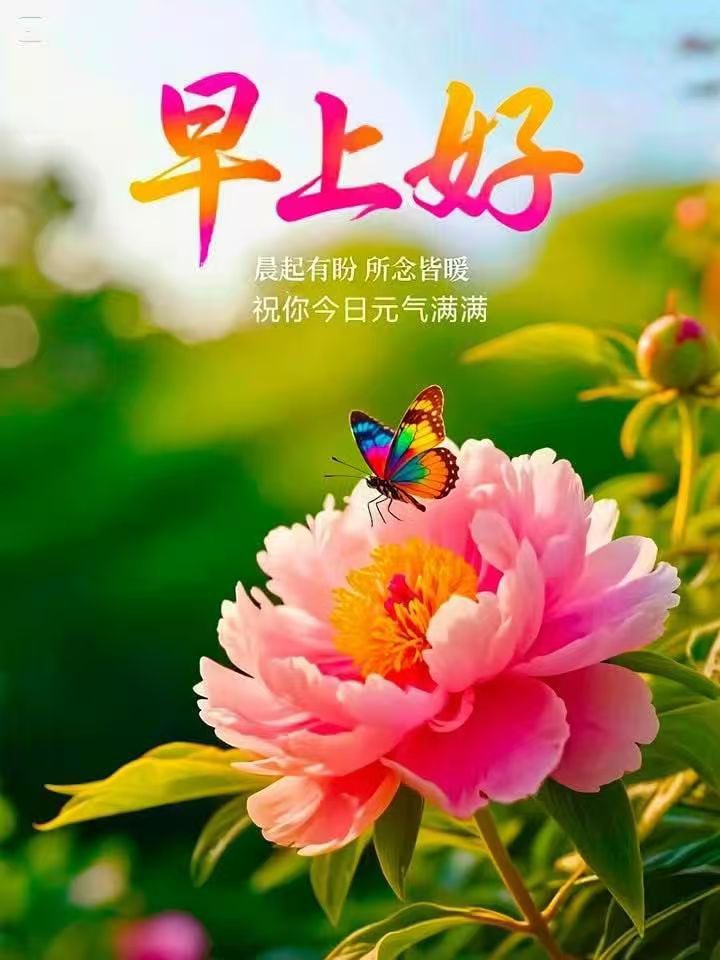 各位早安，祝你有个元气满满的一天