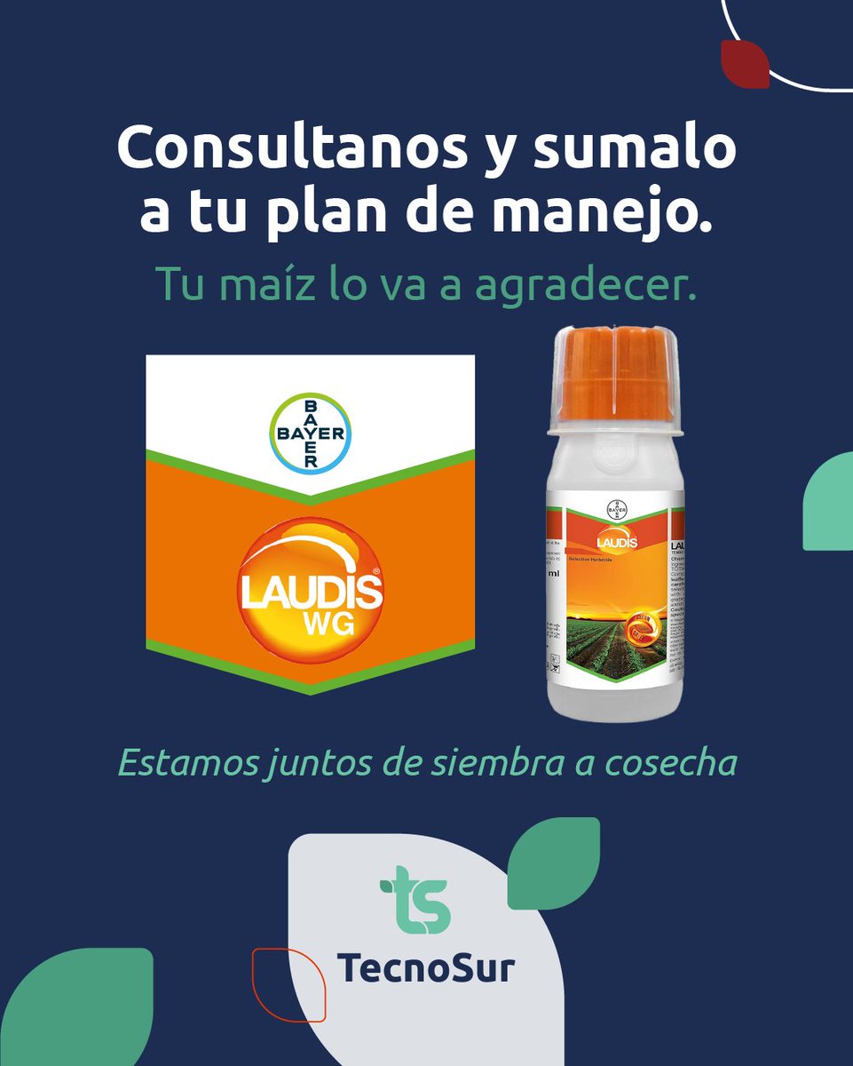 TecnoSurAgro's tweet photo. 🌿 ¿Malezas difíciles?
Laudis es tu aliado en postemergencia: controla gramíneas y hojas anchas con eficacia y selectividad.

🔹 Acción rápida
🔹 Excelente sanidad del cultivo
🔹 Ideal para rotaciones sostenibles

📲 Consultanos en TecnoSur y sumá tecnología a tu lote. https://t.co/JsfQsErmgY