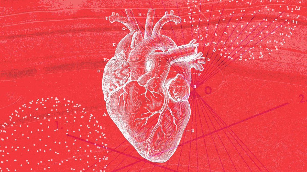 MarioNawfal's tweet photo. 🚨🇺🇸 FDA SLAPS STRONGER HEART WARNINGS ON COVID SHOTS FOR YOUNG MEN

The FDA just expanded heart inflammation warnings on Pfizer and Moderna’s COVID-19 vaccines — specifically targeting males 16–25. 

The agency cited persistent heart abnormalities in follow-up studies and new data showing 8 cases of myocarditis per million doses. 

These new labels follow earlier alerts for teens and young adults. 

The CDC still says the benefits outweigh the risks, but the FDA’s move coincides with stricter approval rules for future boosters under age 65. 

Senate hearings are also probing whether feds downplayed early myocarditis data.

Source: Axios
