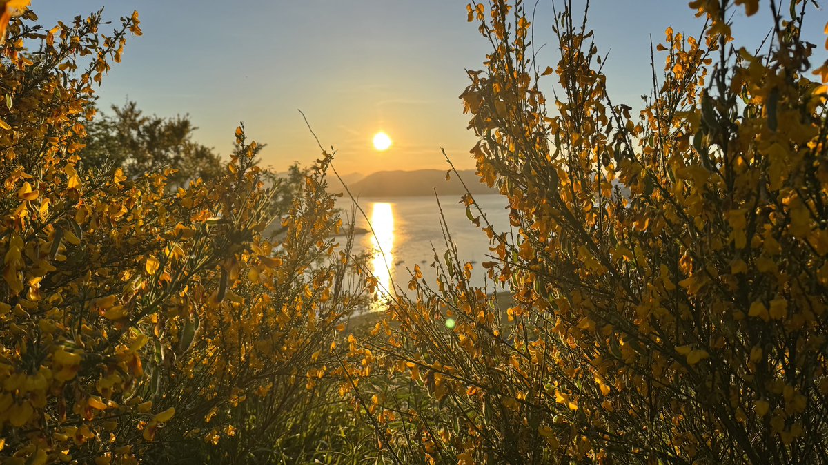 discinverclyde's tweet photo. Lyle Hill tonight.
Thanks to @DarrochOlga for the photos πΈ
Discover Inverclyde π
https://t.co/IOztDSJtbm
@VisitScotland | @Scotland
#DiscoverInverclyde #Greenock #Scotland #ScotlandIsCalling #VisitScotland #LyleHill https://t.co/G162Ne8Ma0
