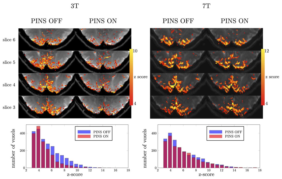 Shota Hodono tweet media