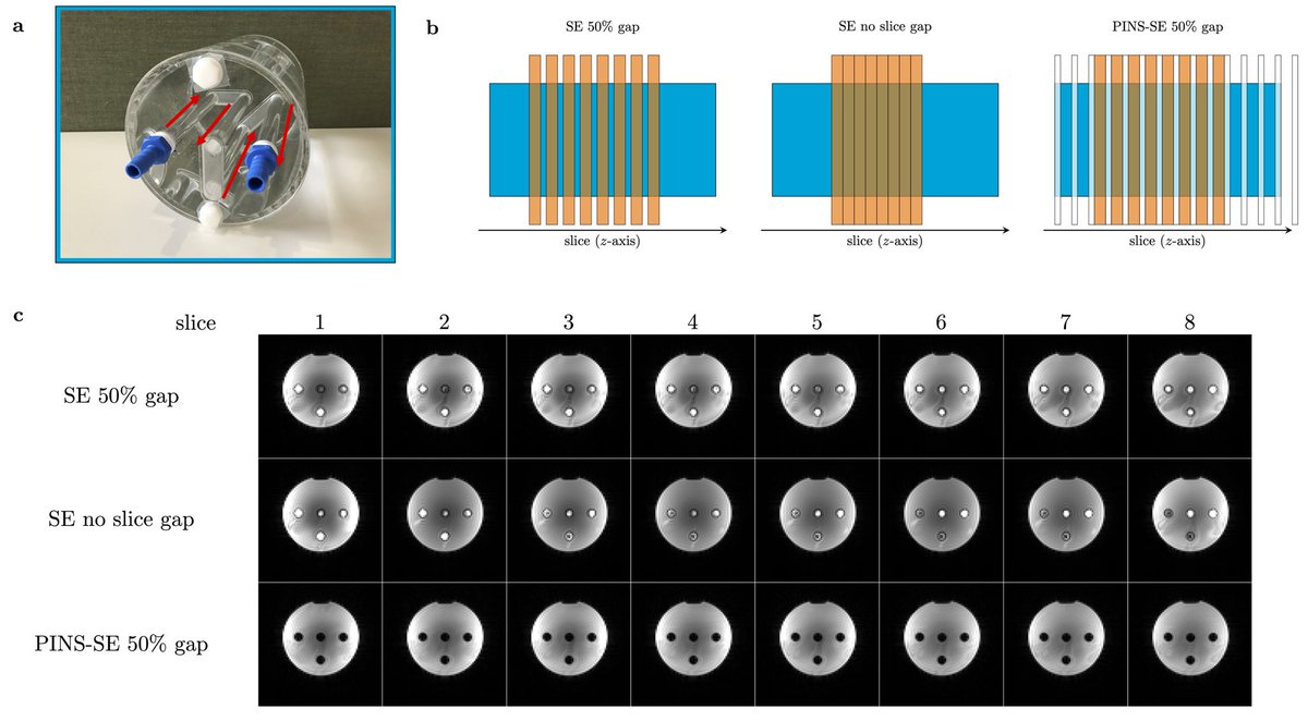Shota Hodono tweet media