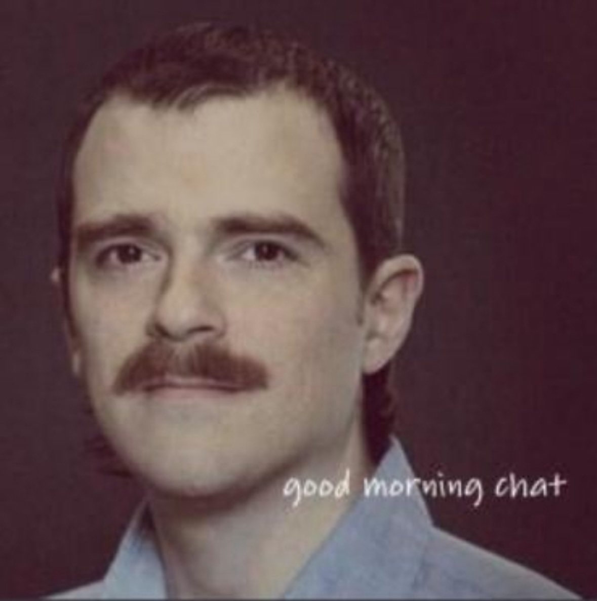 Cat toons is pretty tweet media