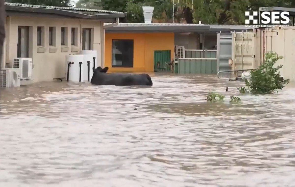Two images from ABC news and 730 Report last night showing the weather extremes facing Australian farmers at the moment.