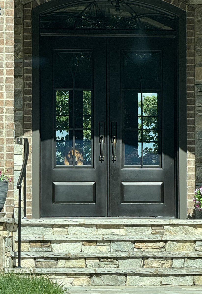 John Shields, MD, FAAOS tweet media